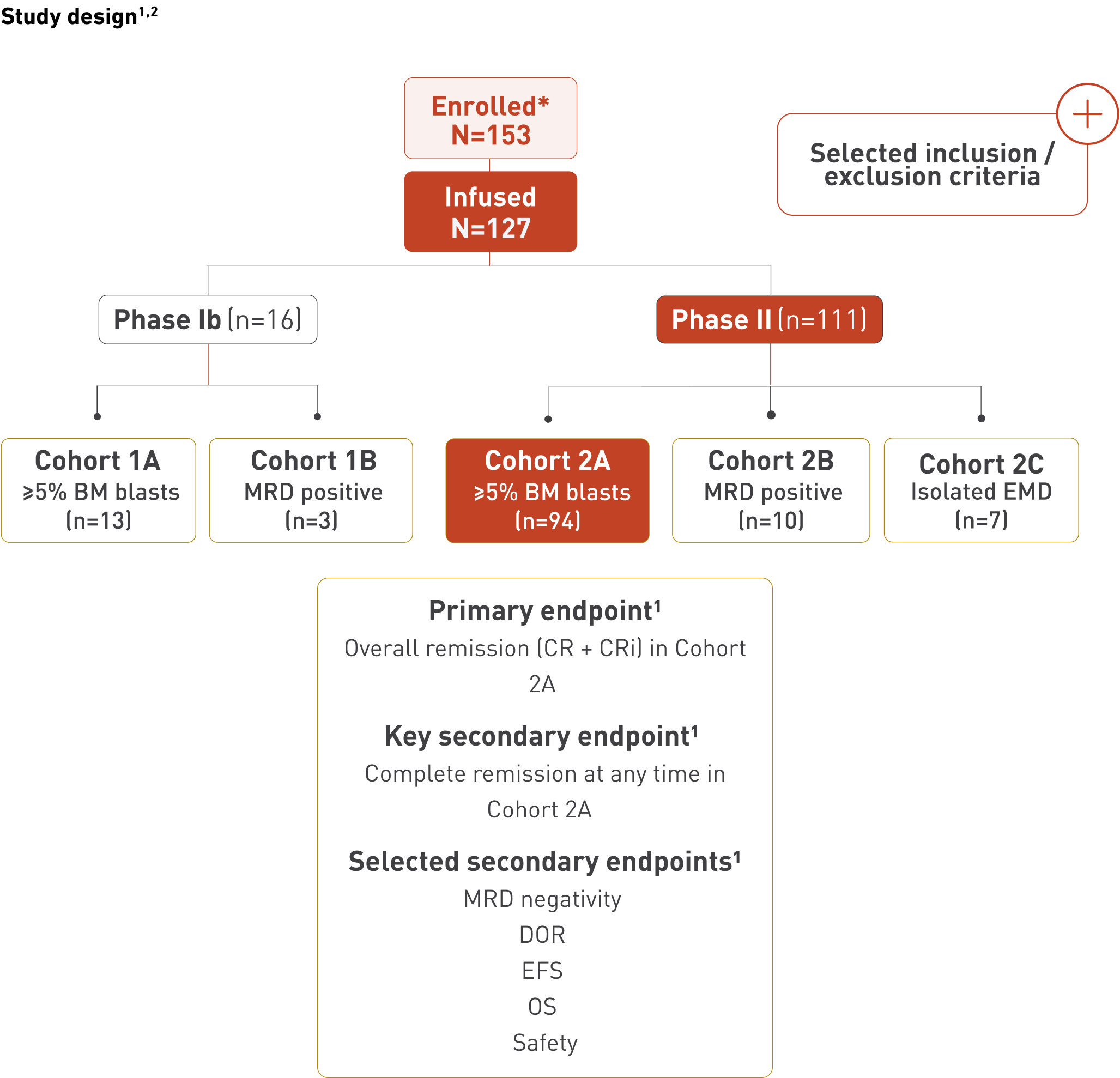 Flow chart showing study enrolment and cohort allocation. A total of 153 patients were enrolled and 127 were infused. Patients were split into Phase Ib with 16 patients and Phase II with 111 patients. Phase Ib included Cohort 1A with 13 patients with ≥5% bone marrow blasts and Cohort 1B with 3 MRD positive patients. Phase II included Cohort 2A with 94 patients with ≥5% bone marrow blasts, Cohort 2B with 10 MRD positive patients, and Cohort 2C with 7 patients with isolated EMD. Cohort 2A is highlighted as the group for the primary endpoint, overall remission in Cohort 2A, and key secondary endpoint, complete remission at any time in Cohort 2A. Selected secondary endpoints include MRD negativity, DOR, EFS, OS, and safety. A hotspot indicates additional information on selected inclusion and exclusion criteria.